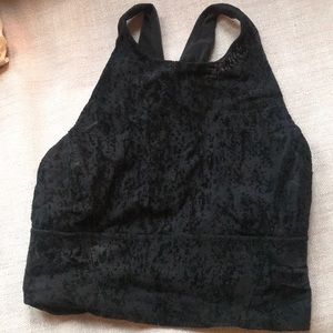 Sheer velvet outdoor voices sports bra